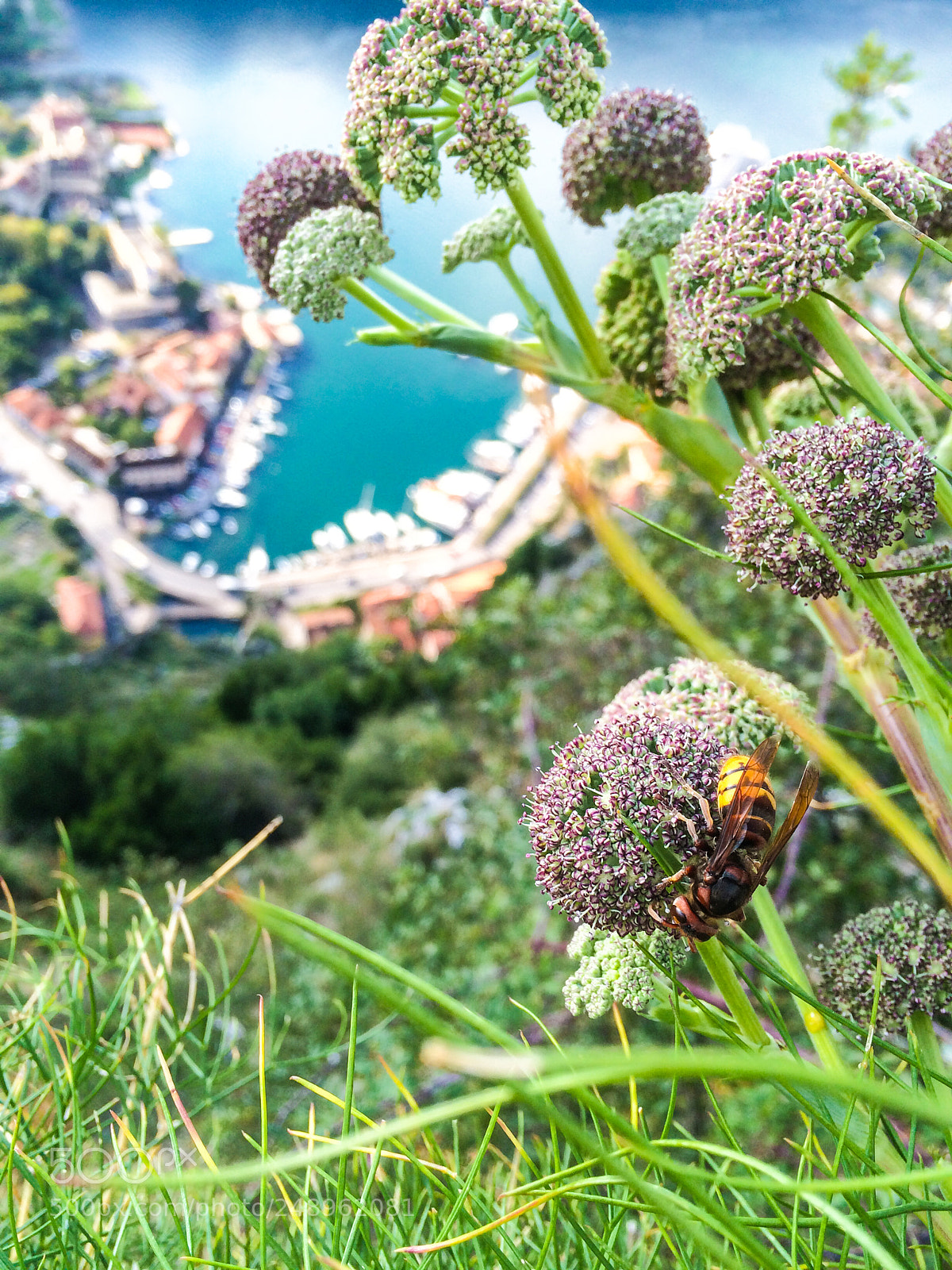 Apple iPhone 5s sample photo. Kotor photography