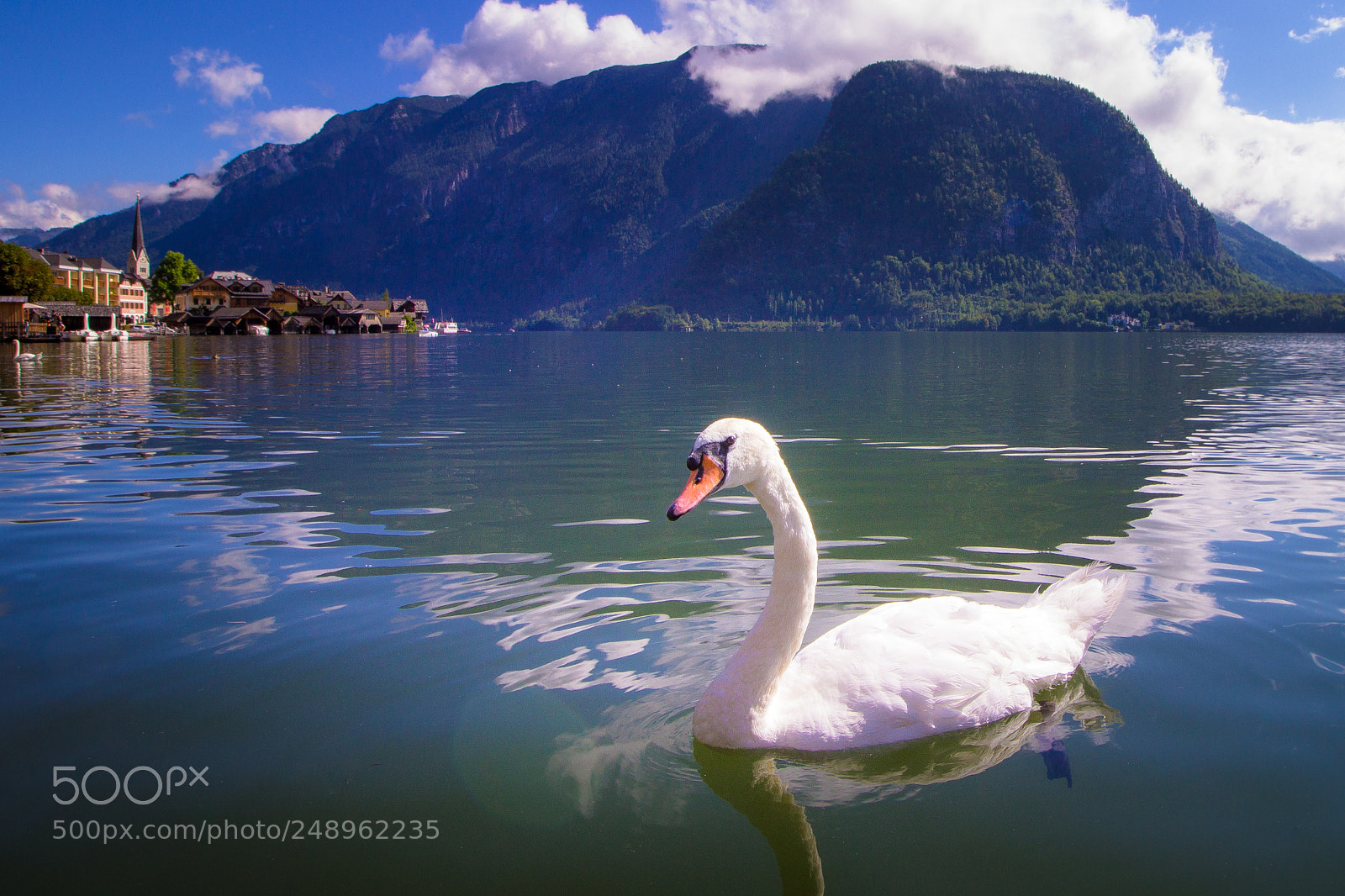 Canon EOS 600D (Rebel EOS T3i / EOS Kiss X5) sample photo. Swan in hallstatt lake photography