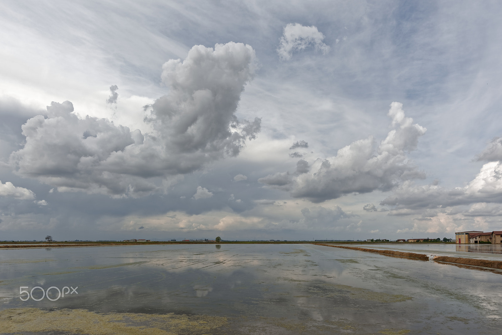 Nikon D7100 + Nikon AF-S Nikkor 14-24mm F2.8G ED sample photo. Rice fields and clouds photography