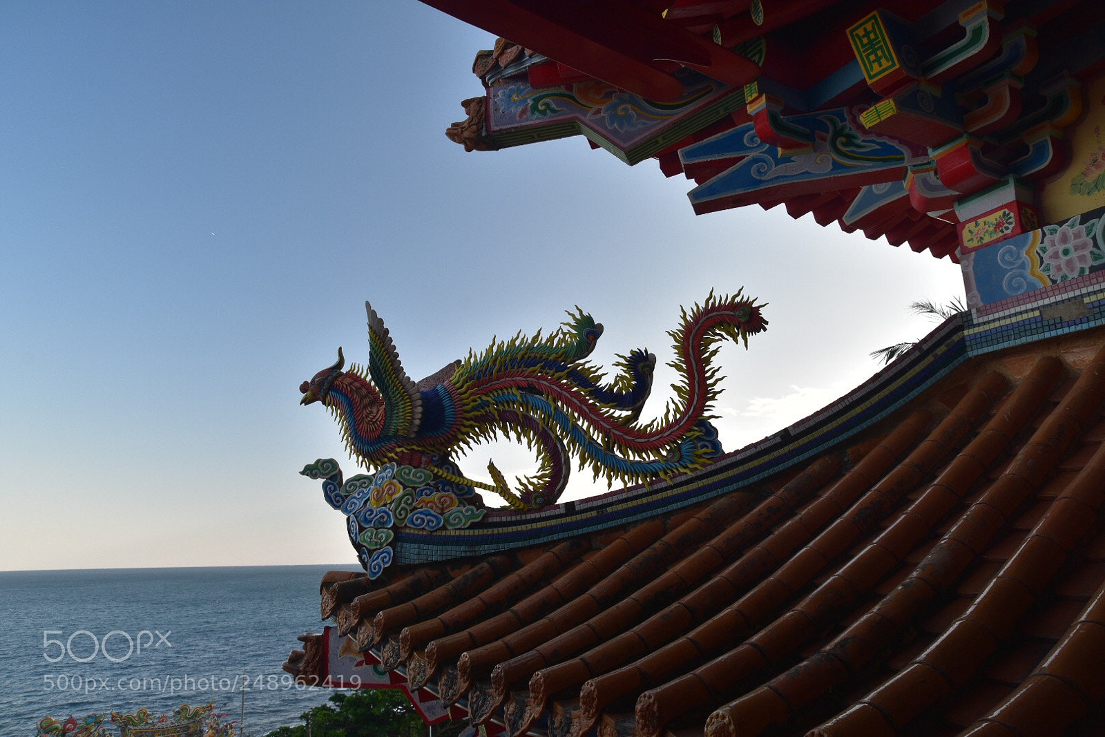 Nikon D7200 sample photo. Untitled photography