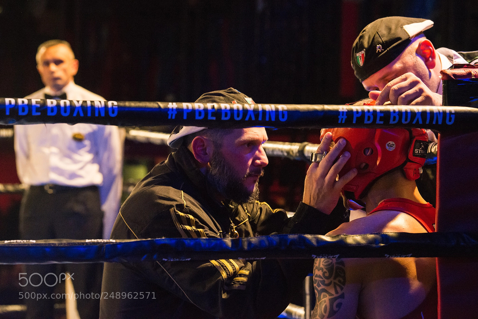 Nikon D600 sample photo. Boxer photography
