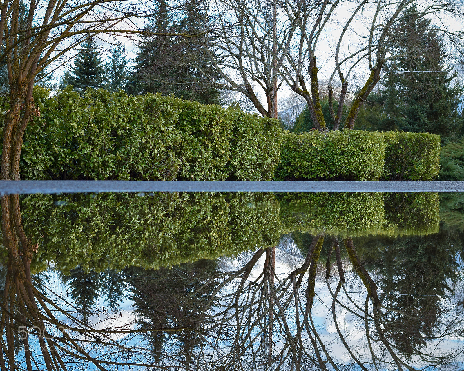 Nikon D3300 sample photo. Playing in puddles photography