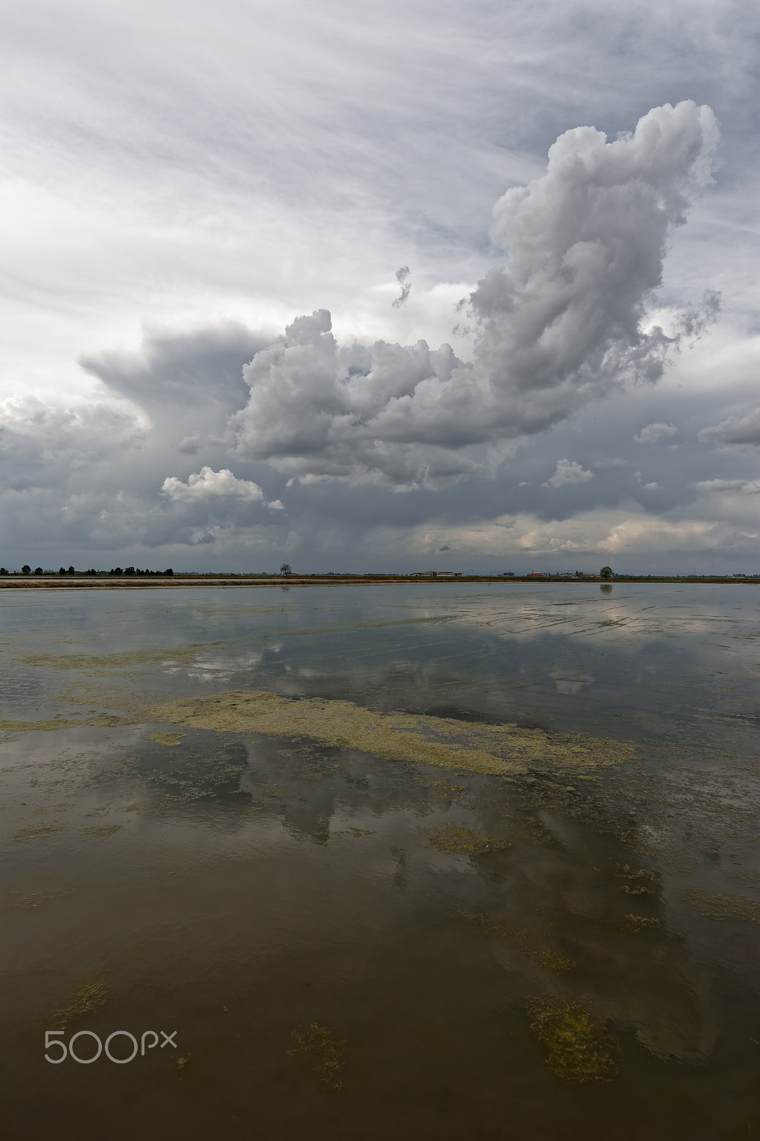 Nikon AF-S Nikkor 14-24mm F2.8G ED sample photo. Clouds photography