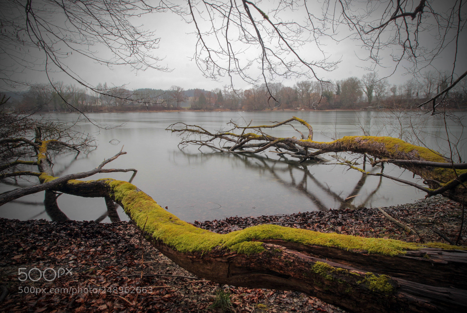 Canon EOS 600D (Rebel EOS T3i / EOS Kiss X5) sample photo. Rhine photography