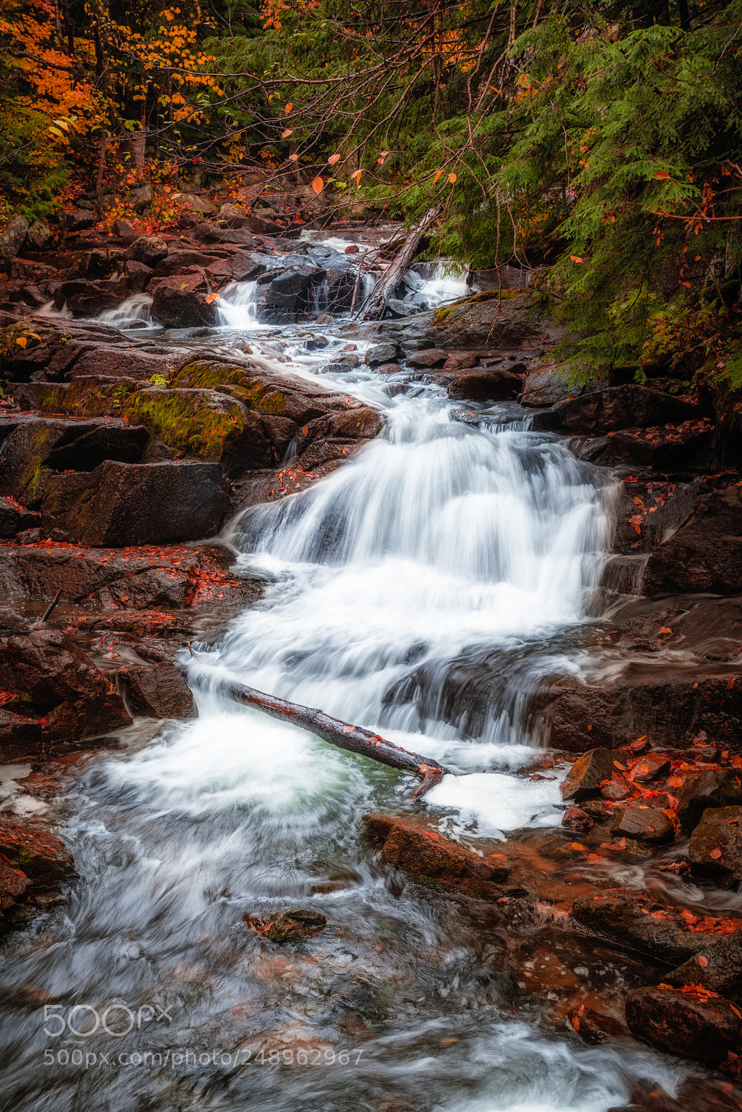 Nikon D750 sample photo. Fall and waterfall ! photography