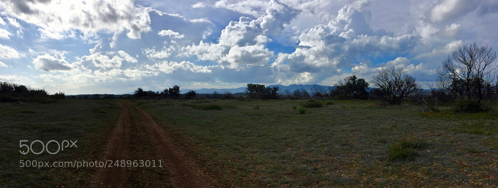 Apple iPhone 6 sample photo. Sunday afternoon photography