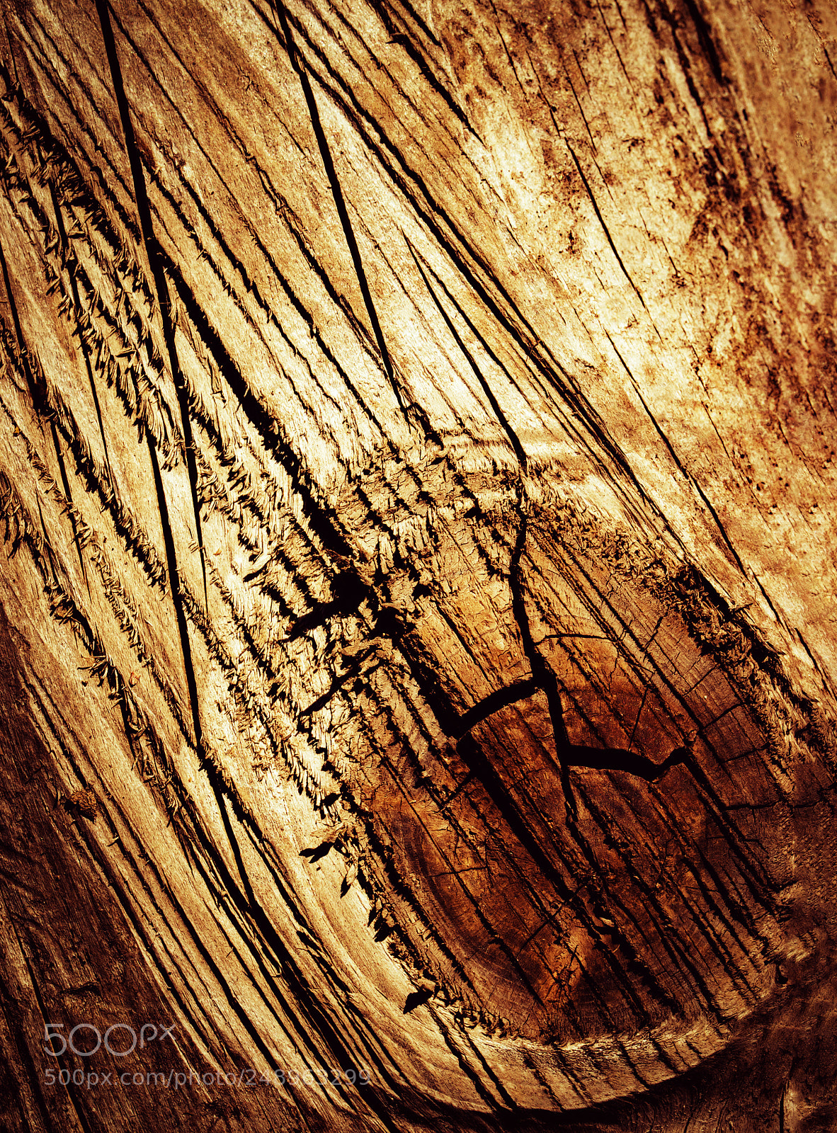 Nikon D5500 sample photo. Cut scratched wood photography