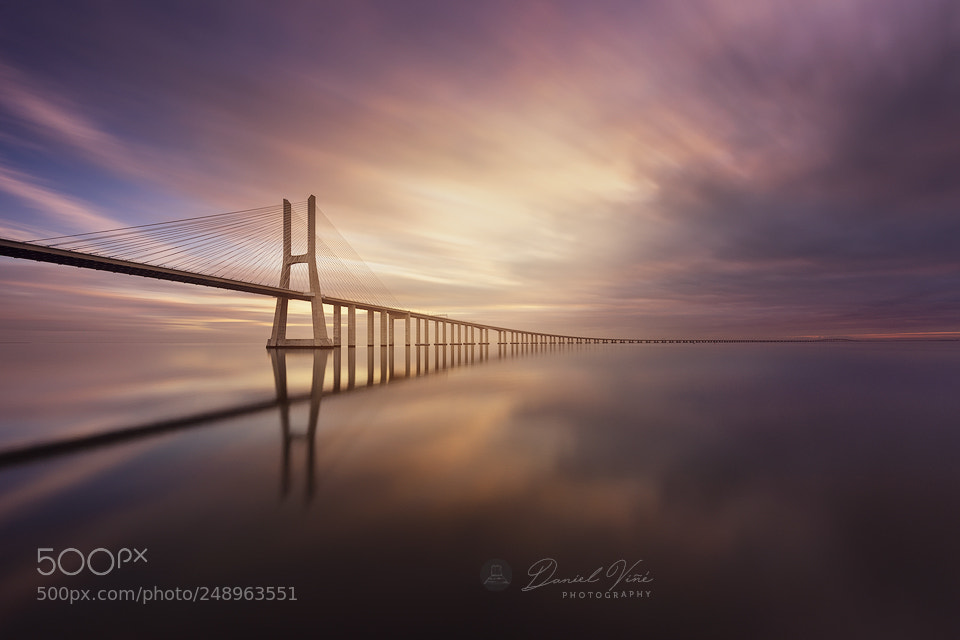 Nikon D610 sample photo. Vasco da gama bridge photography