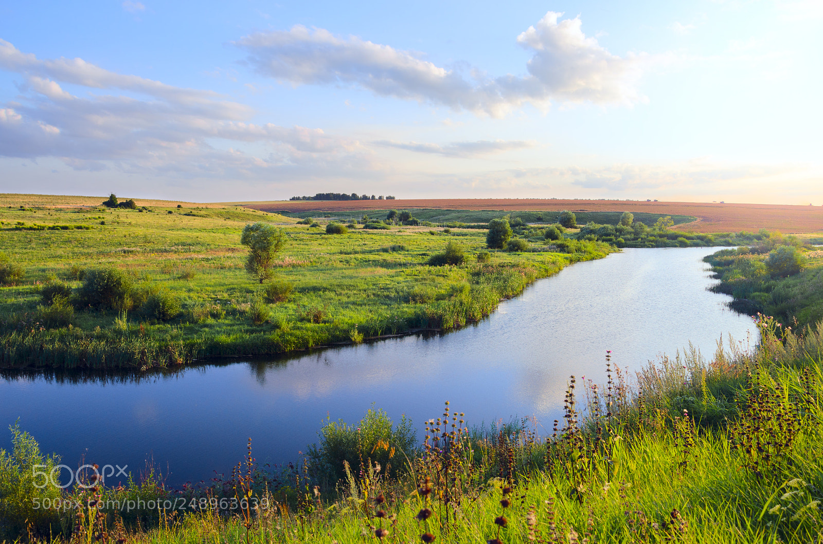 Nikon D5100 sample photo. Summer scenery photography