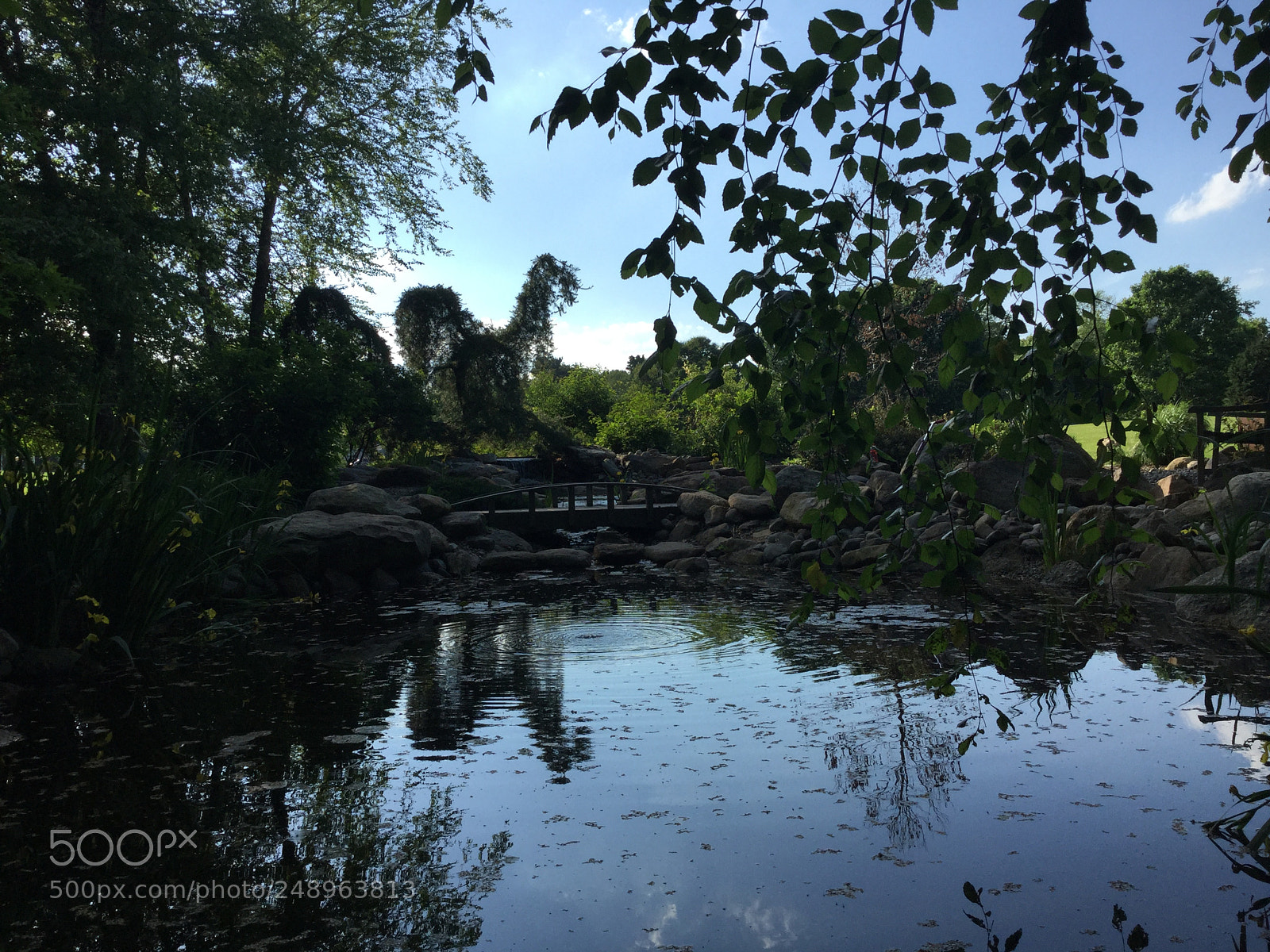 Apple iPod touch sample photo. A little nature photography