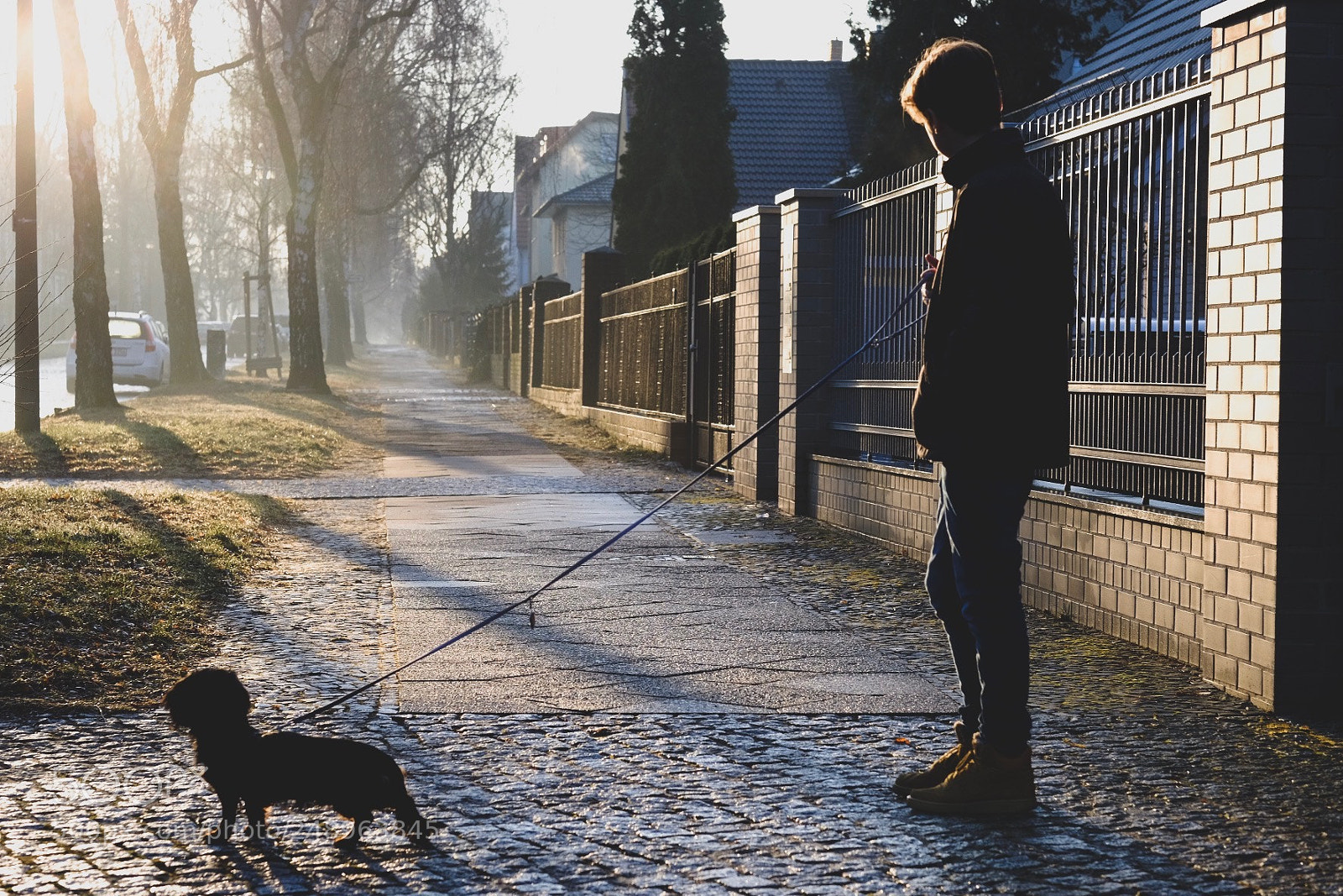 Fujifilm X-T10 sample photo. Morning walk photography