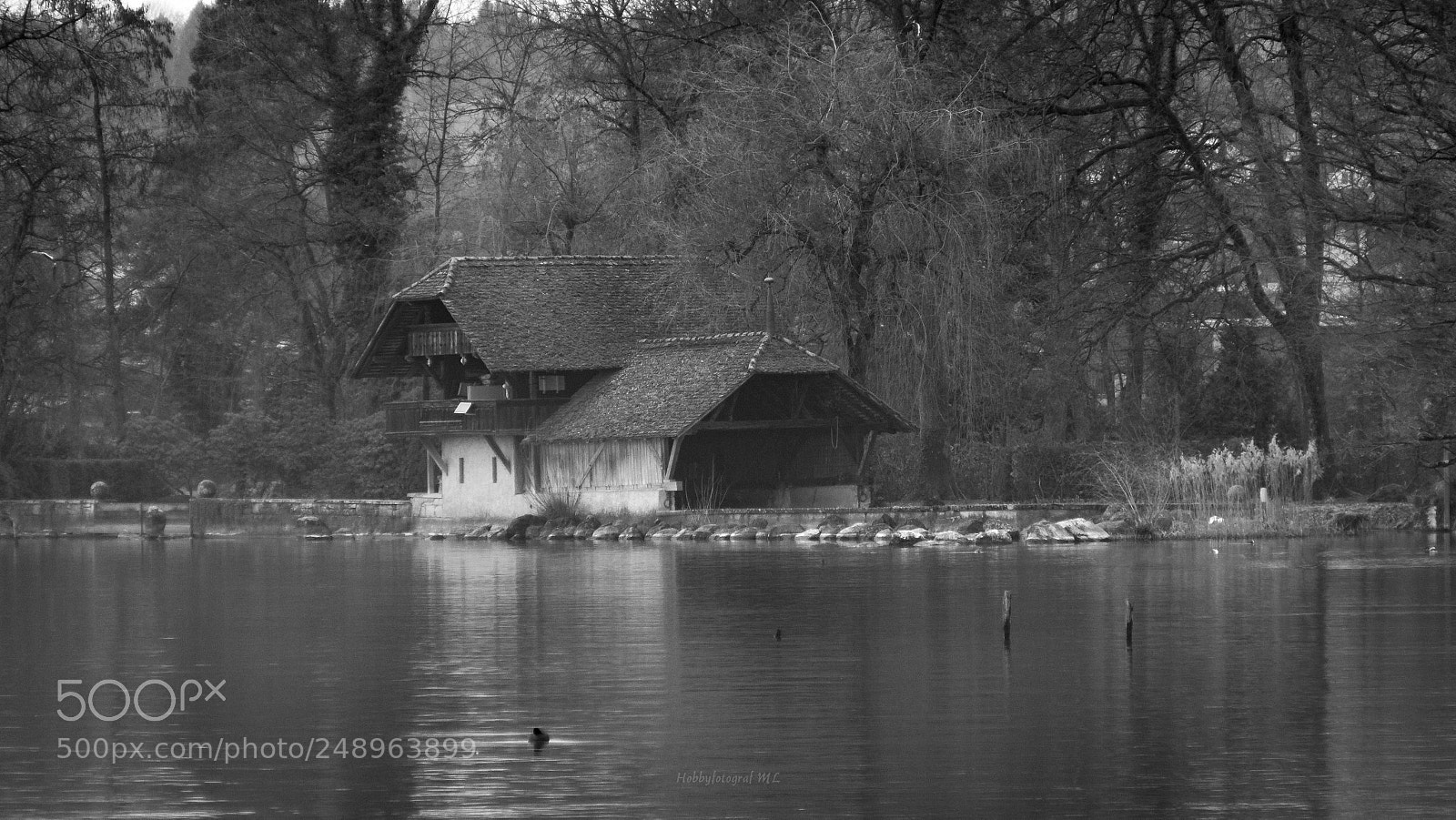 Canon EOS 7D sample photo. Zugersee photography