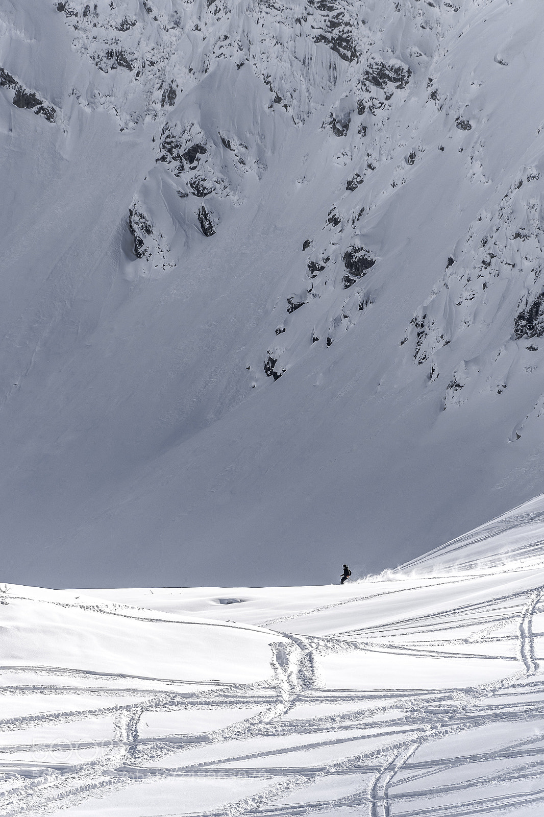 Nikon D5300 sample photo. Skier photography