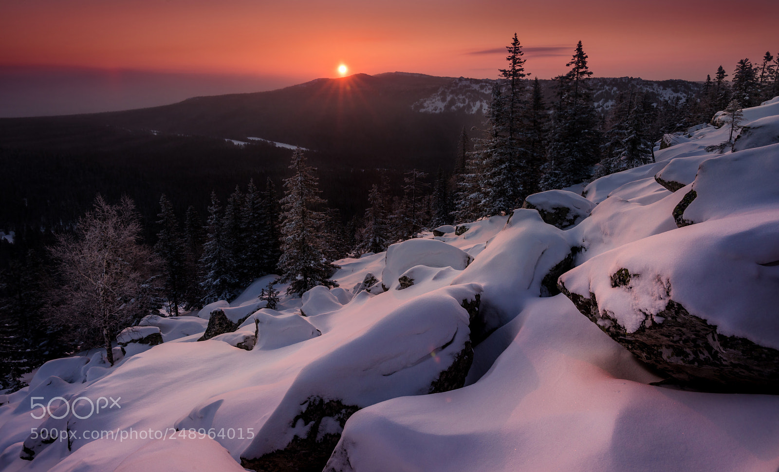 Sony a99 II sample photo. Frozen morning photography