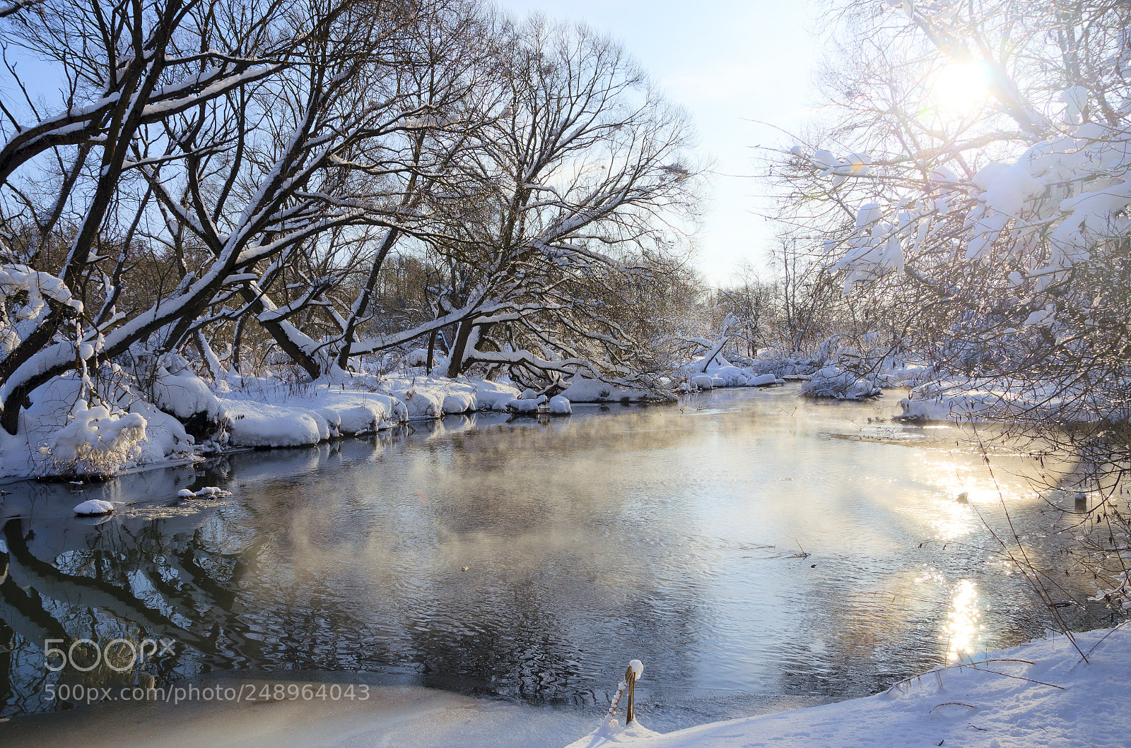 Nikon D5100 sample photo. Frosty morning photography