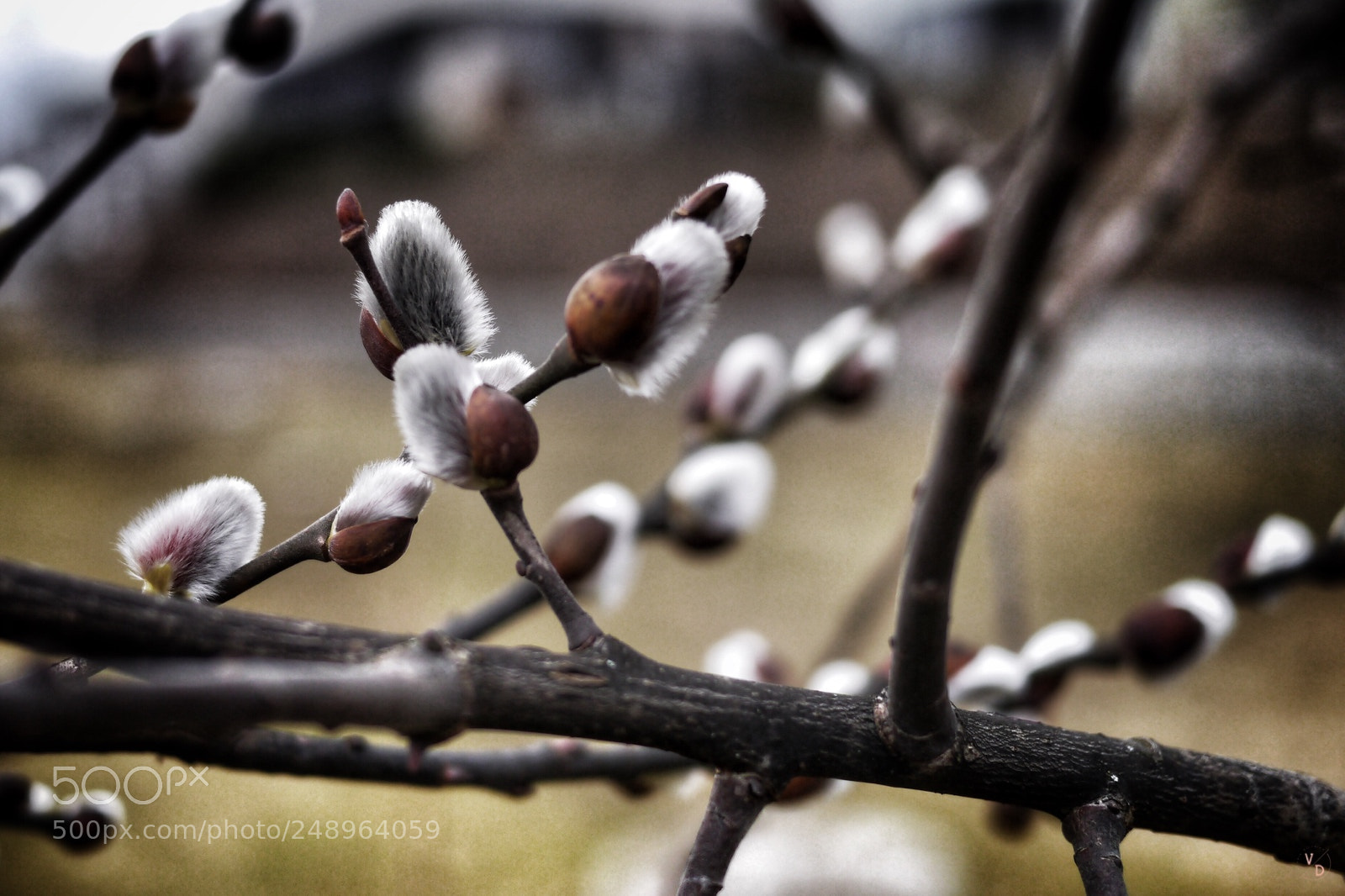 Panasonic Lumix DMC-G3 sample photo. Boimkatzl #68 photography