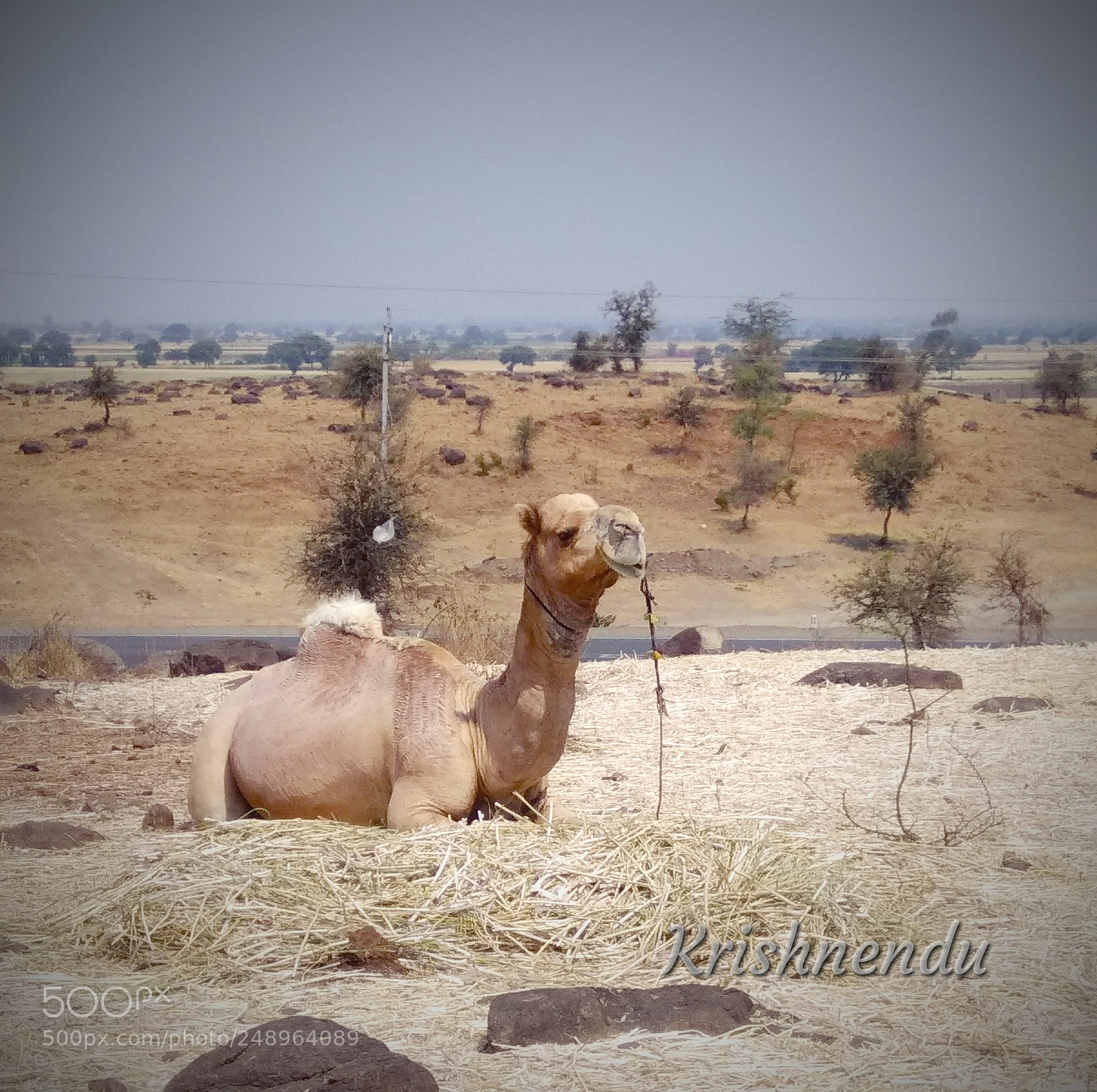 Xiaomi Redmi Note 4 sample photo. Power of desert photography