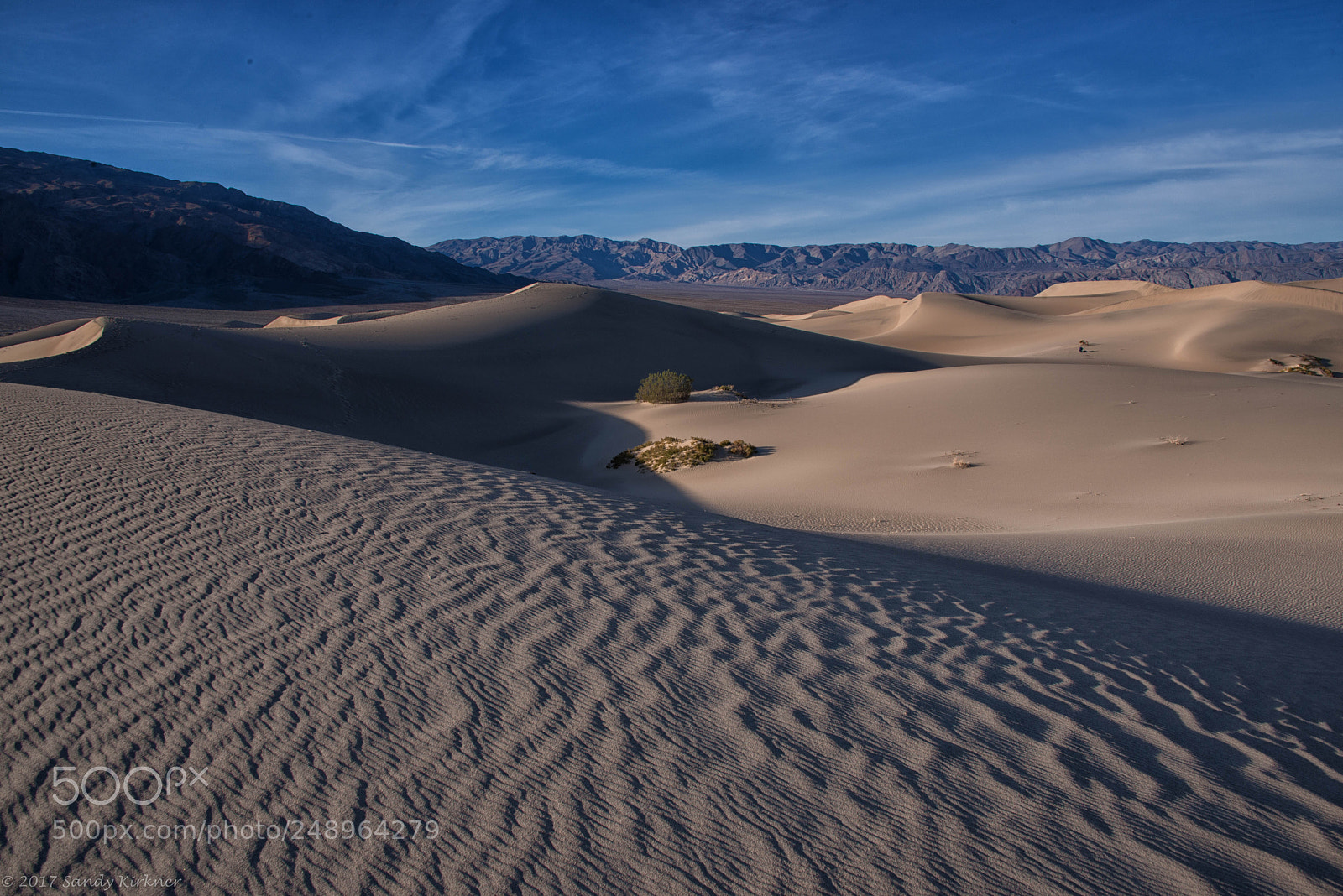 Nikon D800 sample photo. Desert textures photography