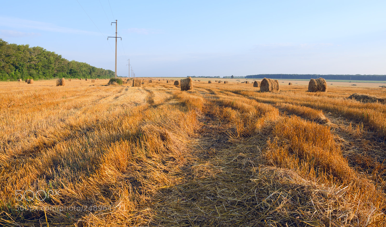 Nikon D5100 sample photo. End of harvesting time photography