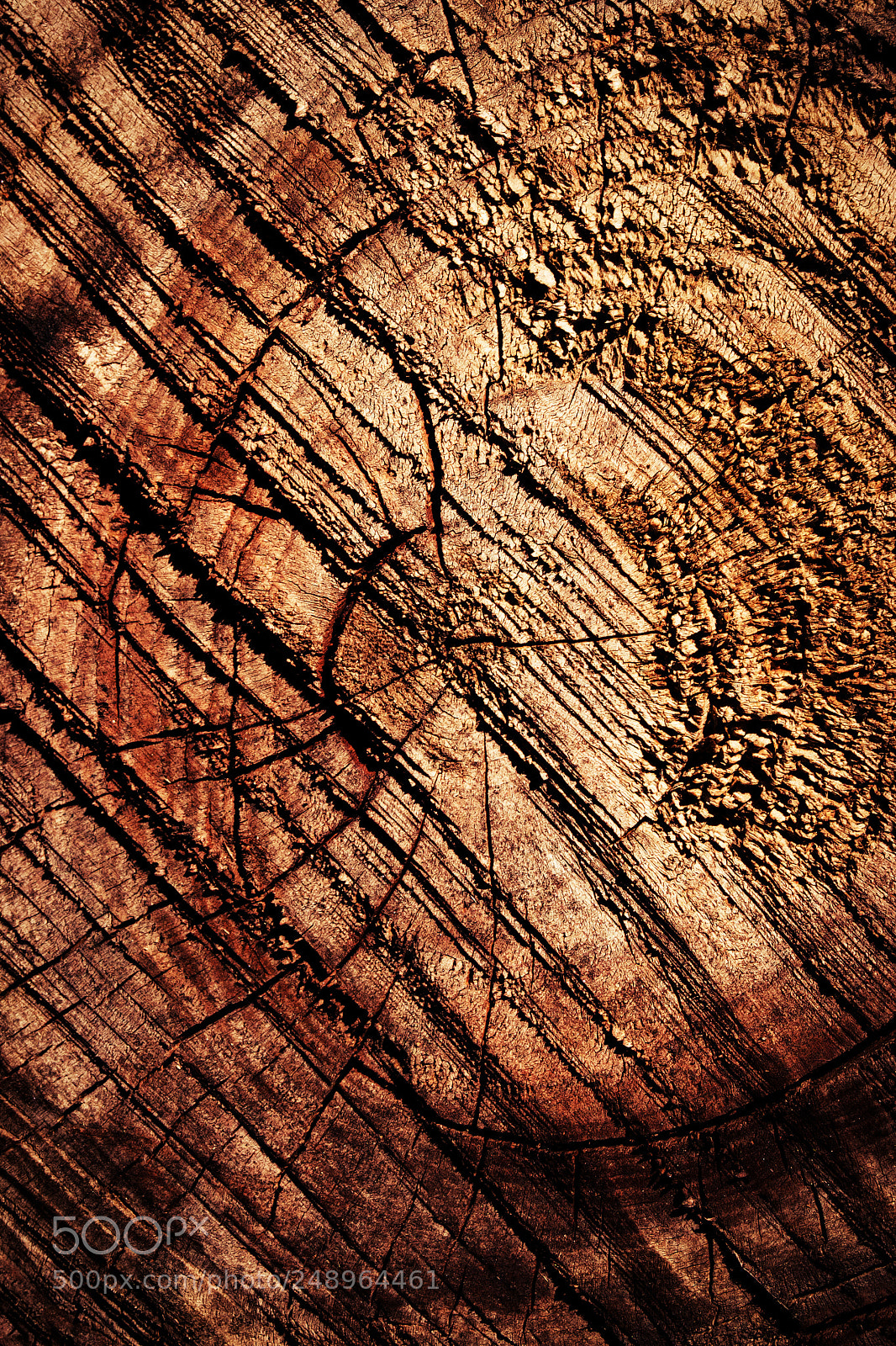 Nikon D5500 sample photo. Abstract cut scratched wood photography