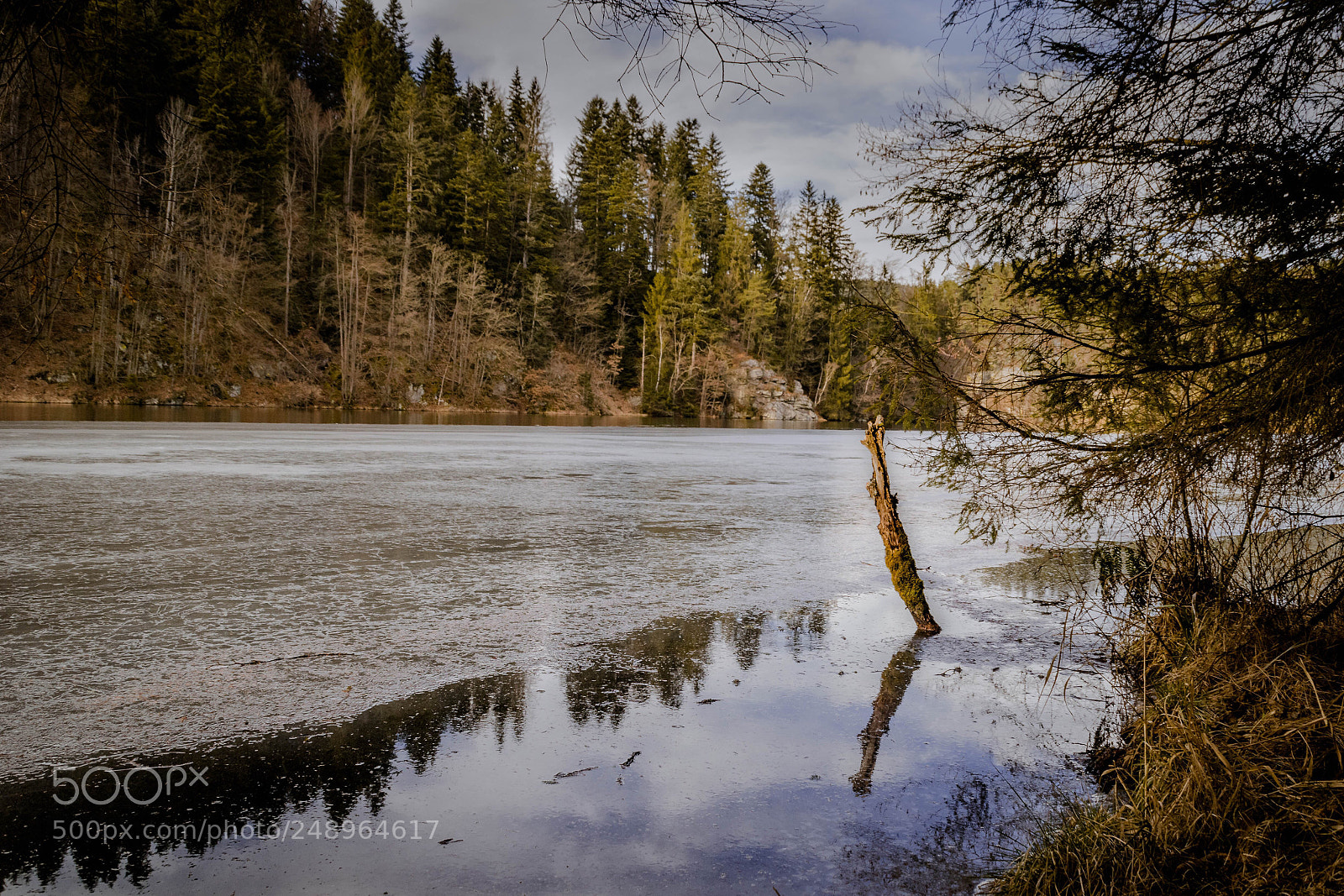 Nikon D3300 sample photo. Untitled photography
