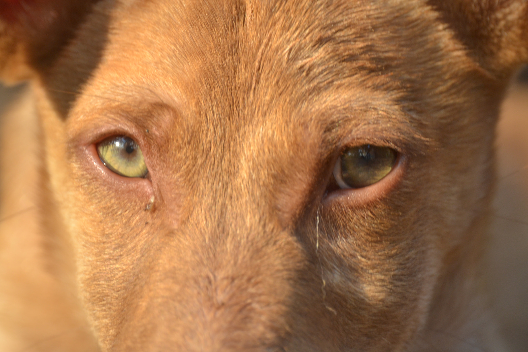 Nikon D3100 sample photo