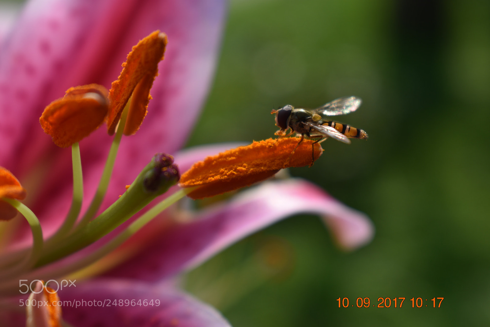Nikon D3400 sample photo. Untitled photography