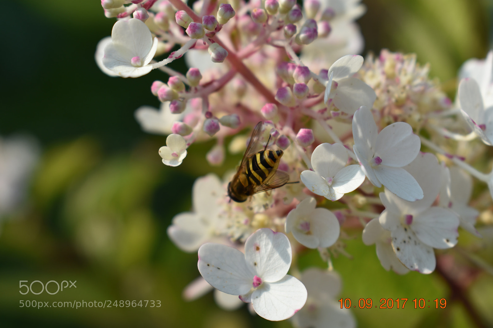 Nikon D3400 sample photo. Untitled photography