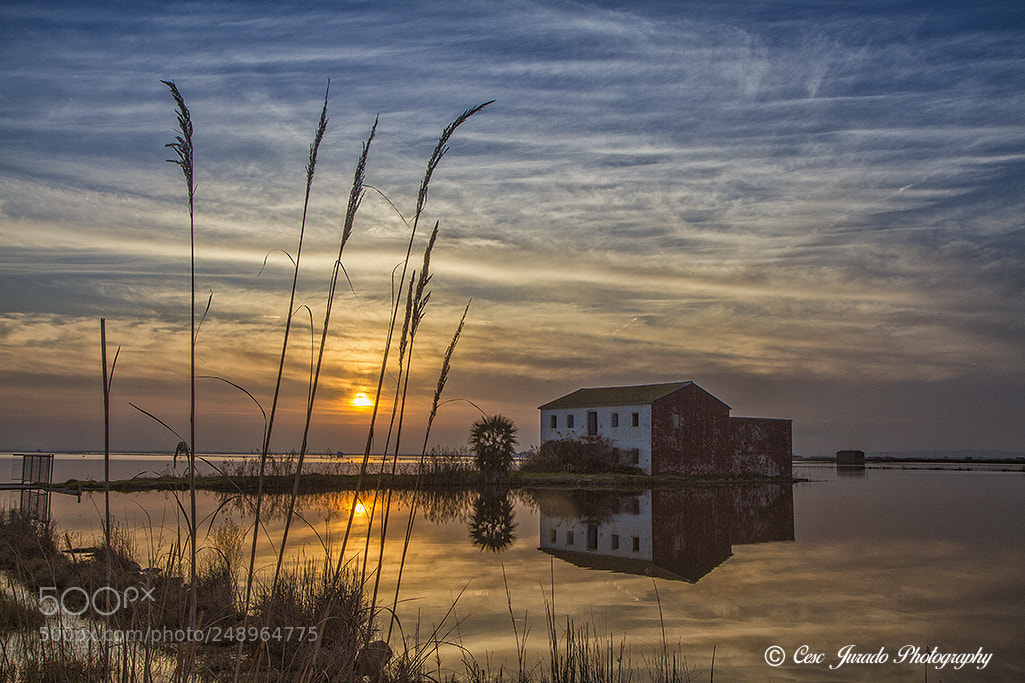 Canon EOS 7D sample photo. Atardecer en la casa photography