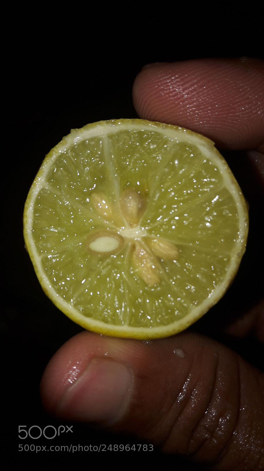 Samsung Galaxy A5(2016) sample photo. Lemon photography