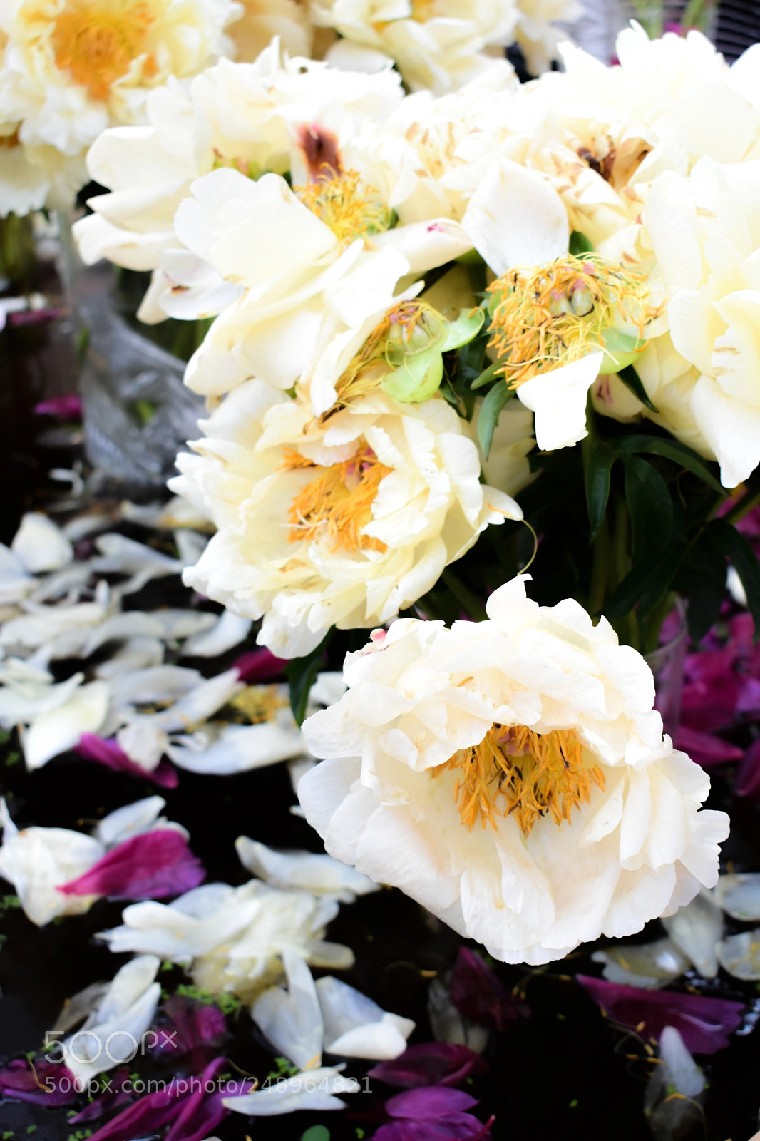 Nikon D3400 sample photo. Dsc photography