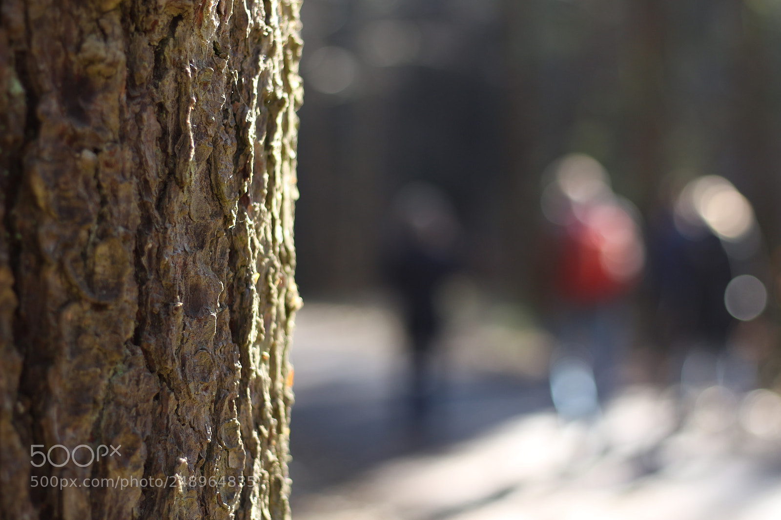 Canon EF 50mm F1.8 STM sample photo. Untitled photography