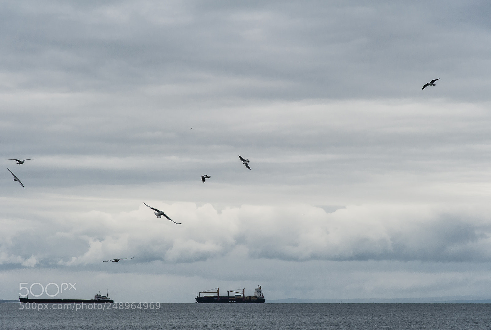 Nikon D700 sample photo. 20180114_013.jpg photography