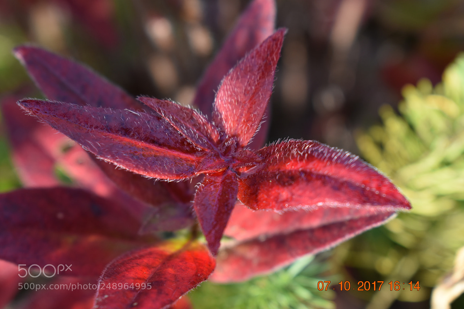 Nikon D3400 sample photo. Untitled photography