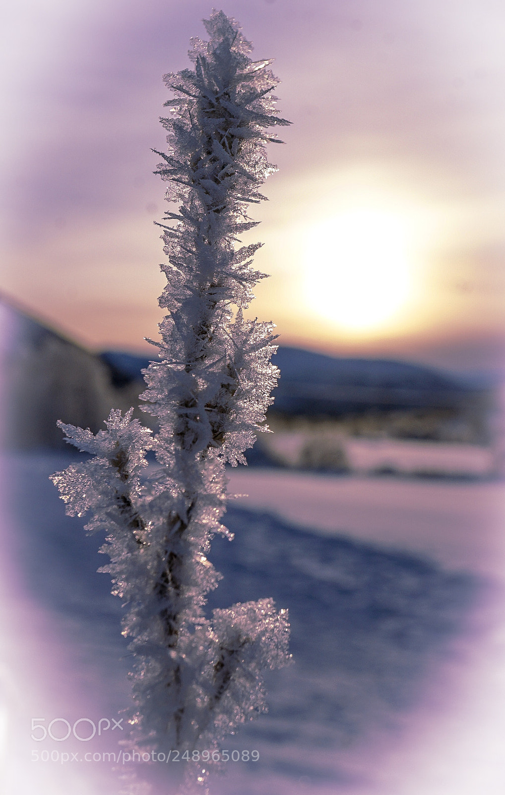 Sony a7 II sample photo. Norway...ice structure photography