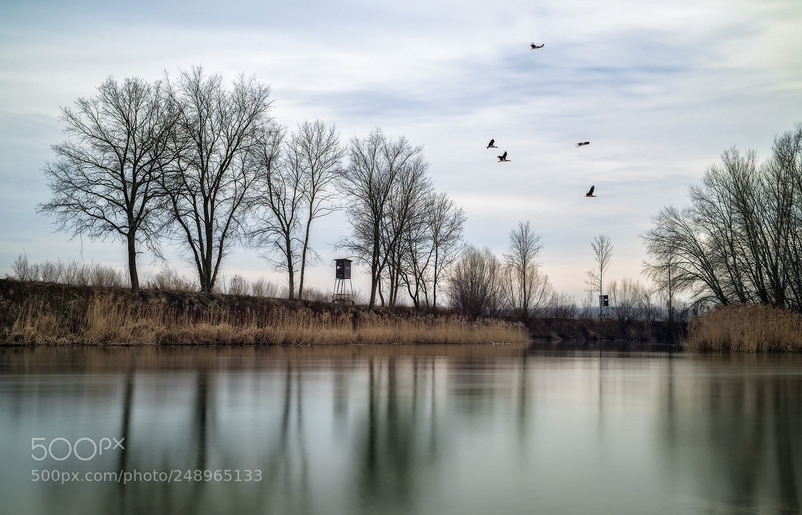 Nikon D810 sample photo. Calm evening photography