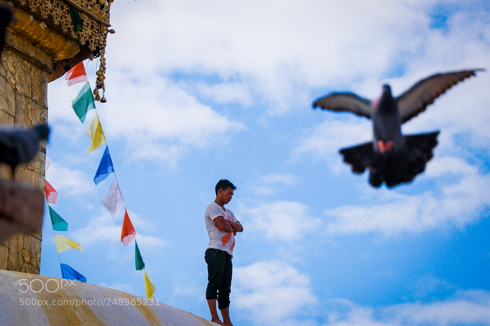 Canon EOS 80D sample photo. Untitled photography