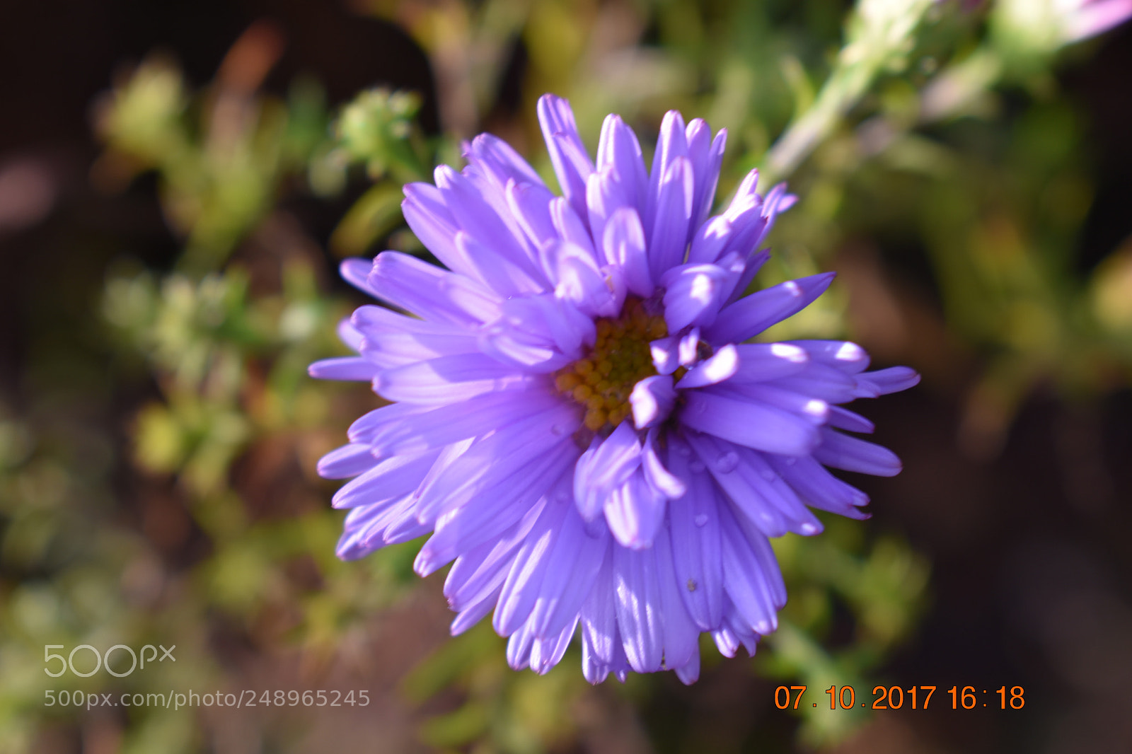 Nikon D3400 sample photo. Untitled photography