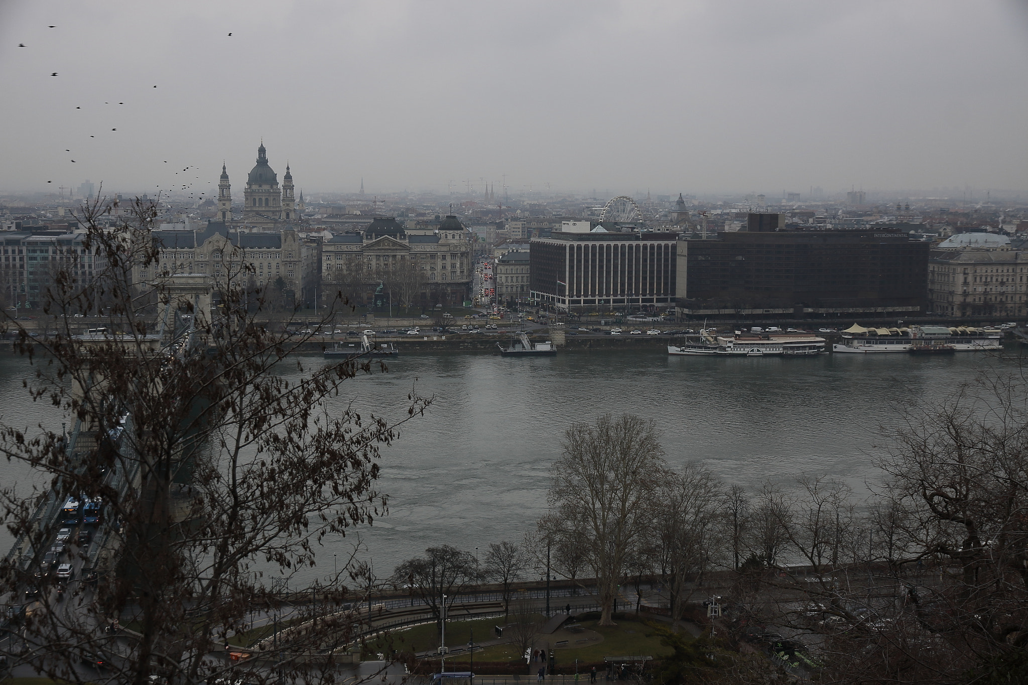 Canon EOS 50D + Canon EF-S 15-85mm F3.5-5.6 IS USM sample photo. Danube, birds and budapest photography