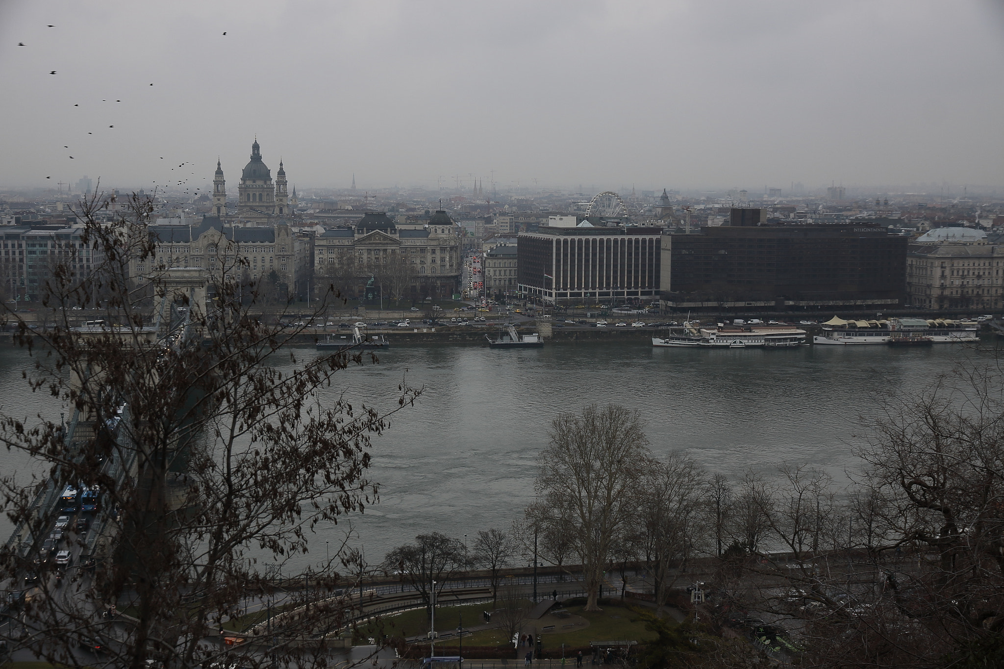 Canon EOS 50D sample photo. Danube, birds and budapest photography