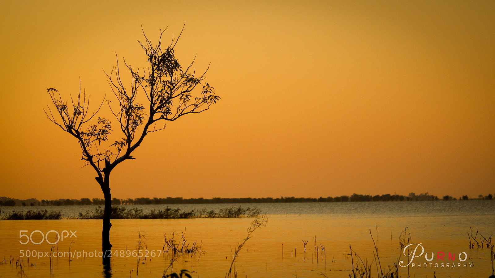 Canon EOS 700D (EOS Rebel T5i / EOS Kiss X7i) sample photo. যখন ভোর হয় photography