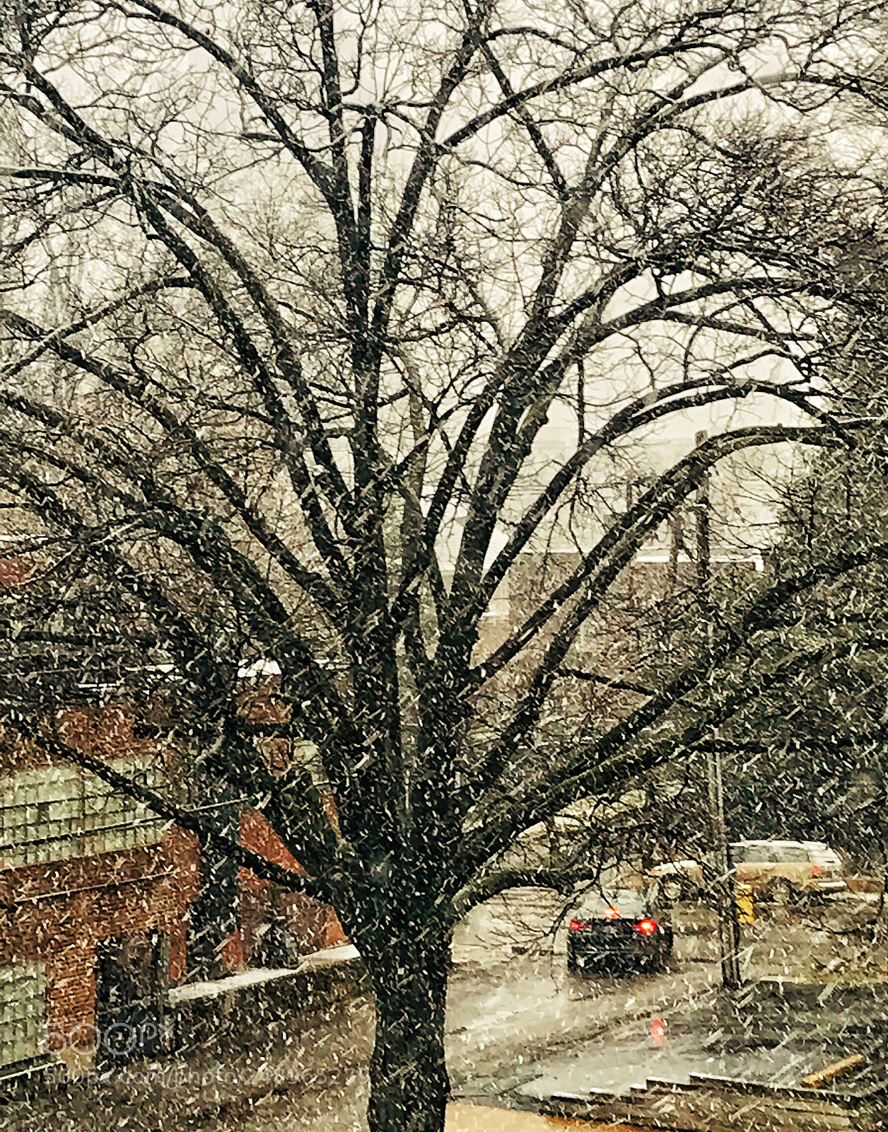 Apple iPhone 7 sample photo. Snowfall photography
