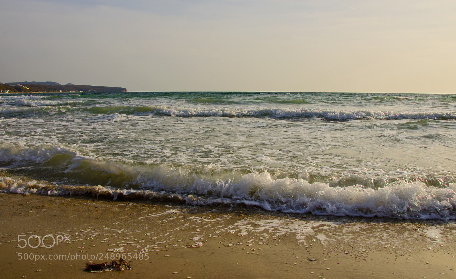 Nikon D7000 sample photo. Golden sand photography