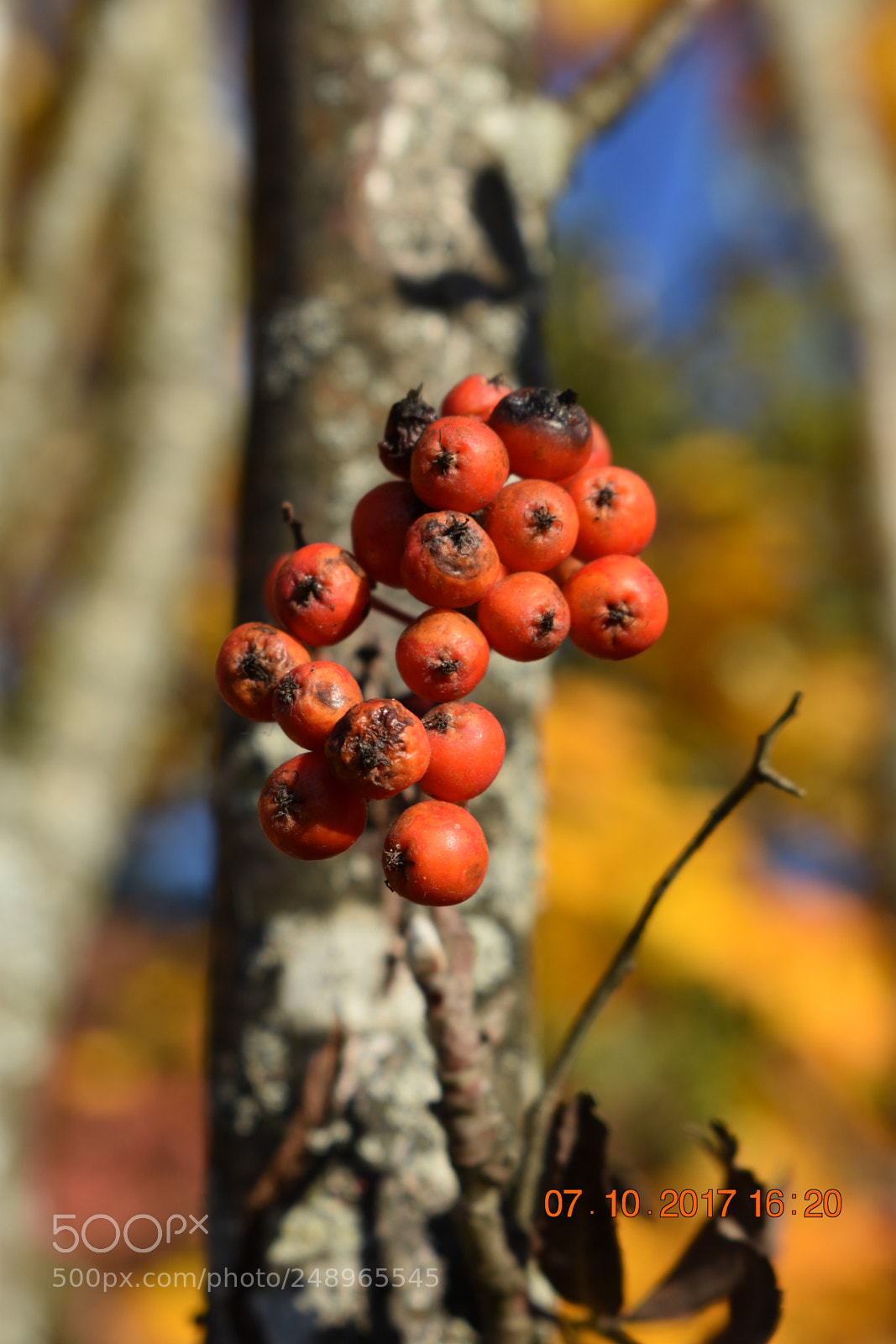 Nikon D3400 sample photo. Untitled photography