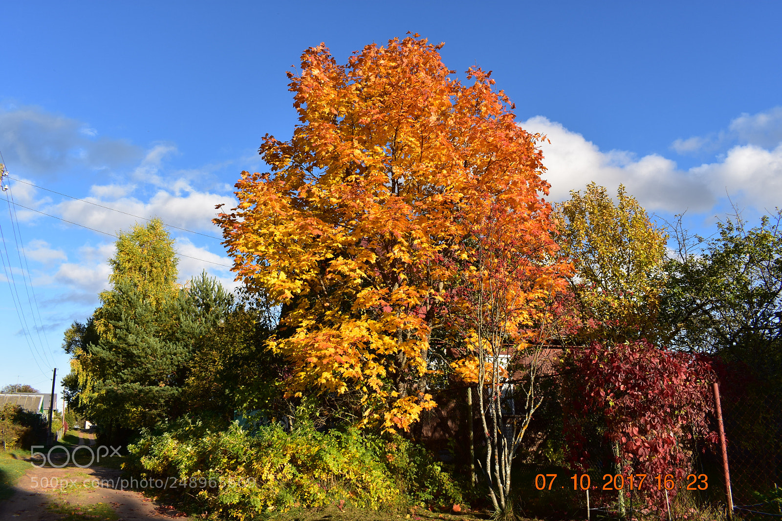 Nikon D3400 sample photo. Untitled photography