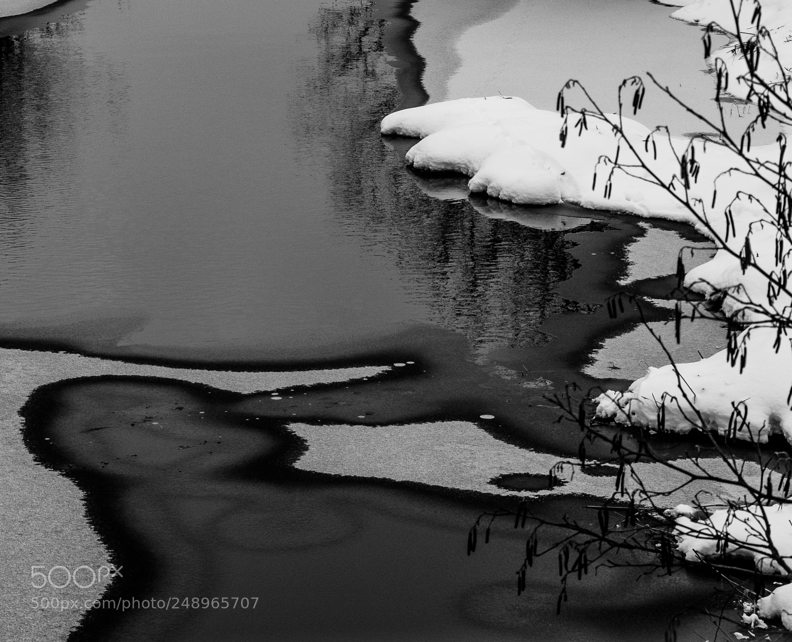 Sony a7 sample photo. Art abstrait au naturel photography