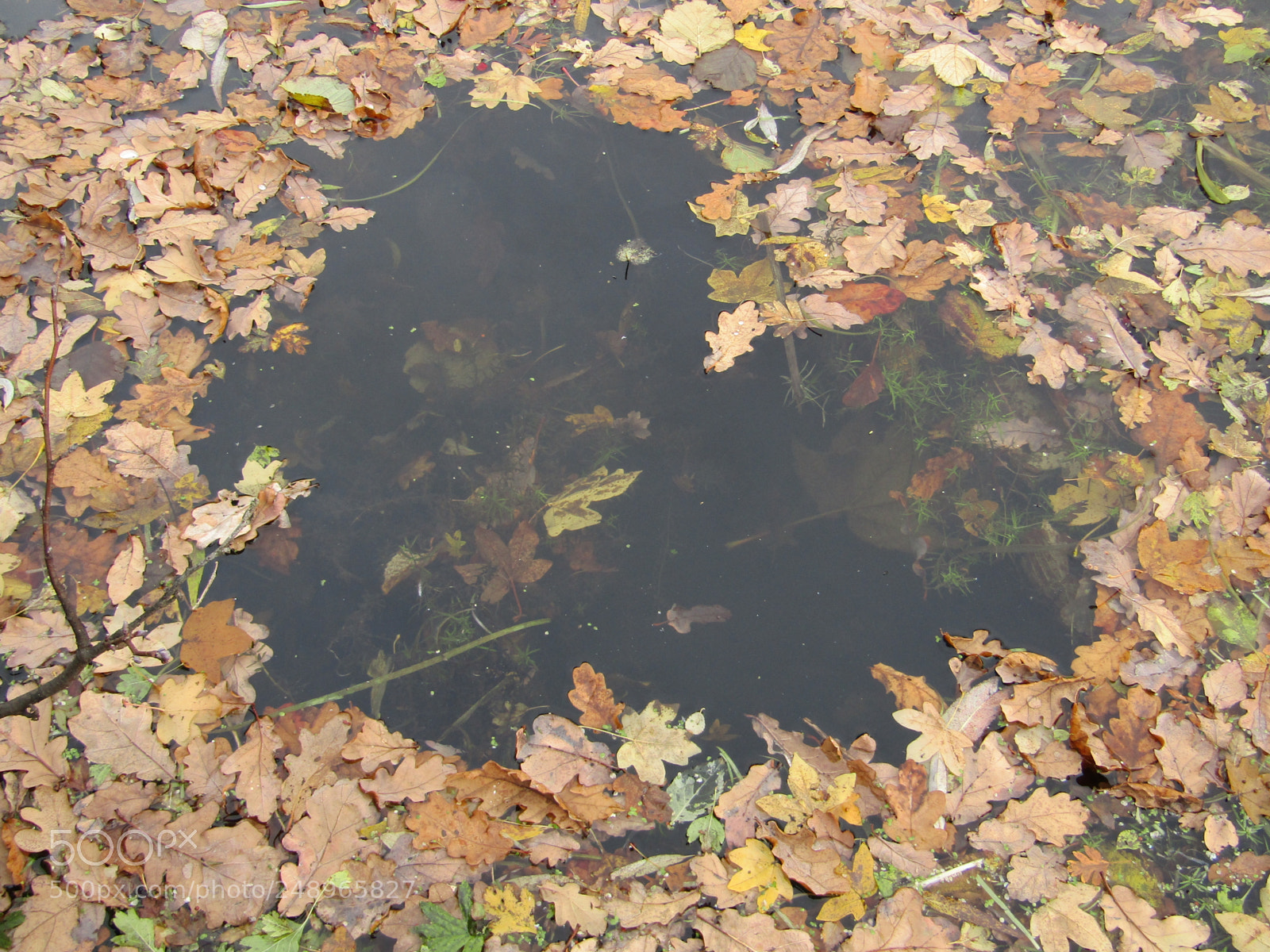 Canon PowerShot SX410 IS sample photo. Love heart photography