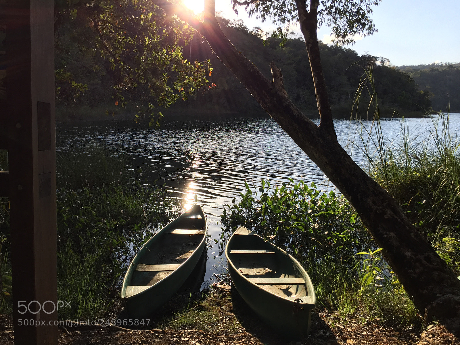 Apple iPhone 6 sample photo. Fiel work at selva photography