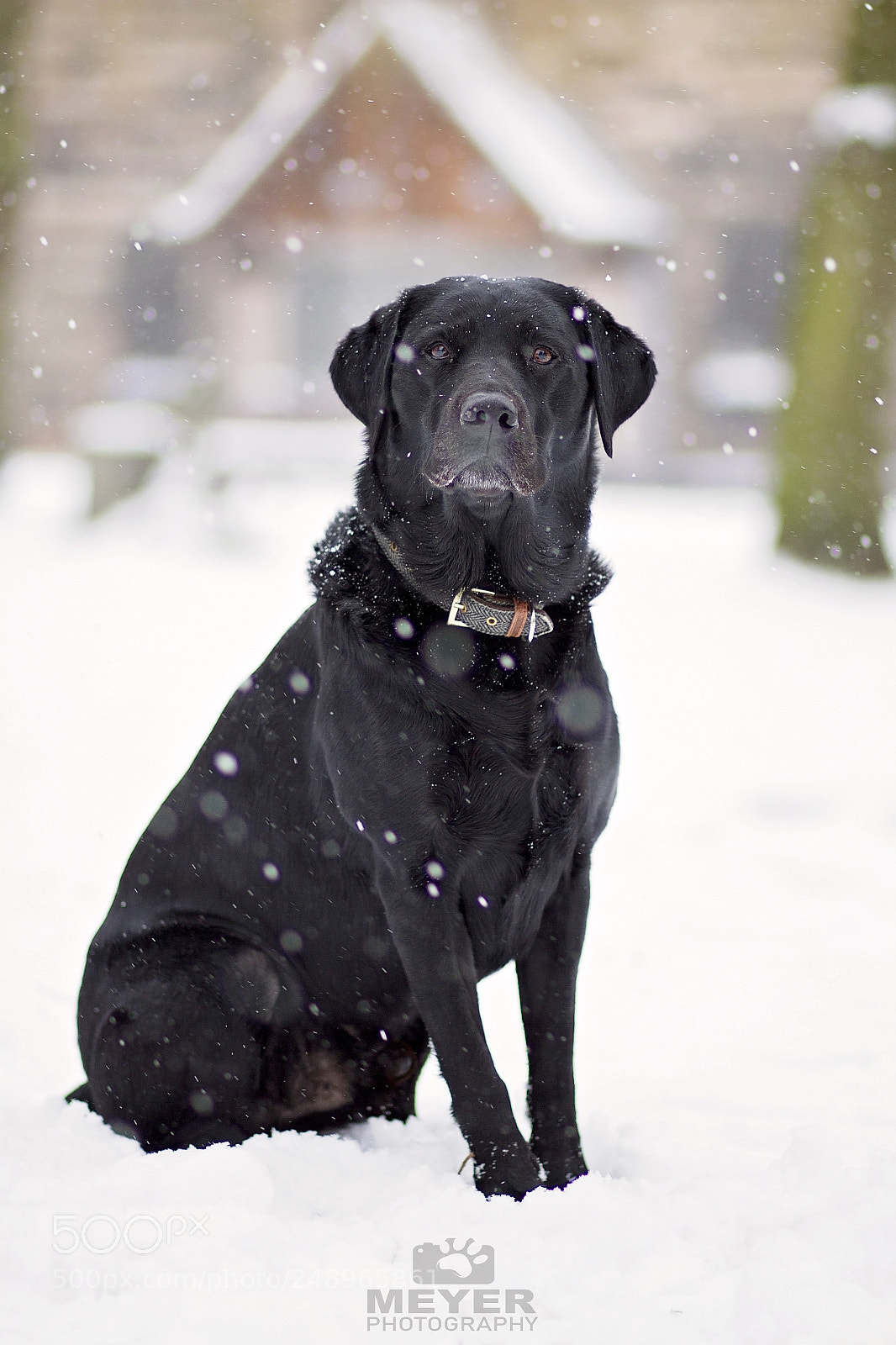 Canon EOS 7D sample photo. Winter time photography