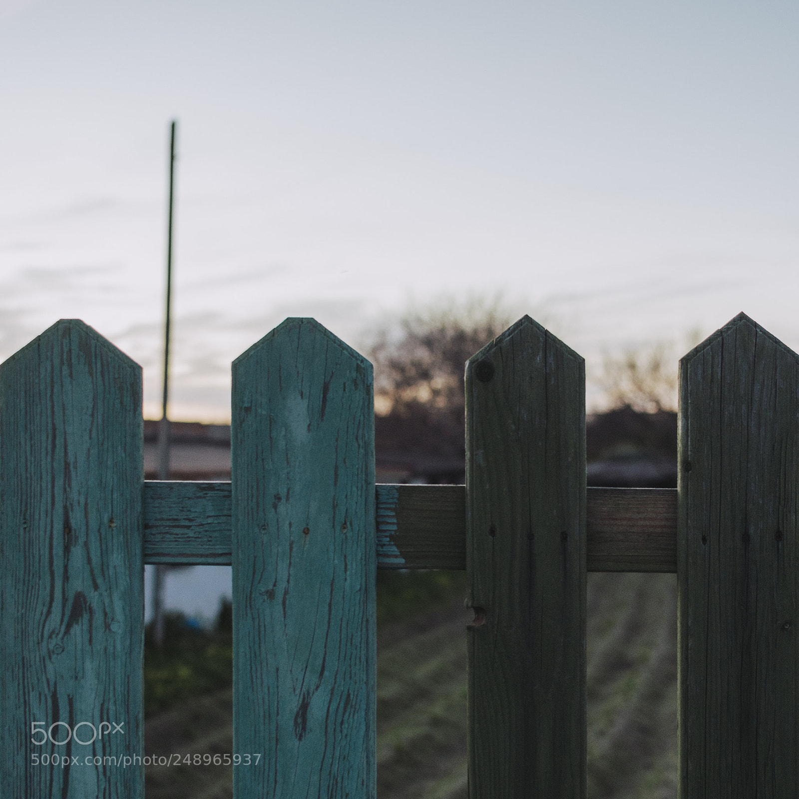 Nikon D610 sample photo. Minimal photography
